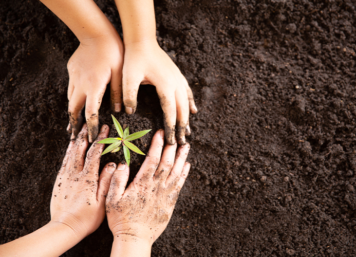 Responsabilidad Social